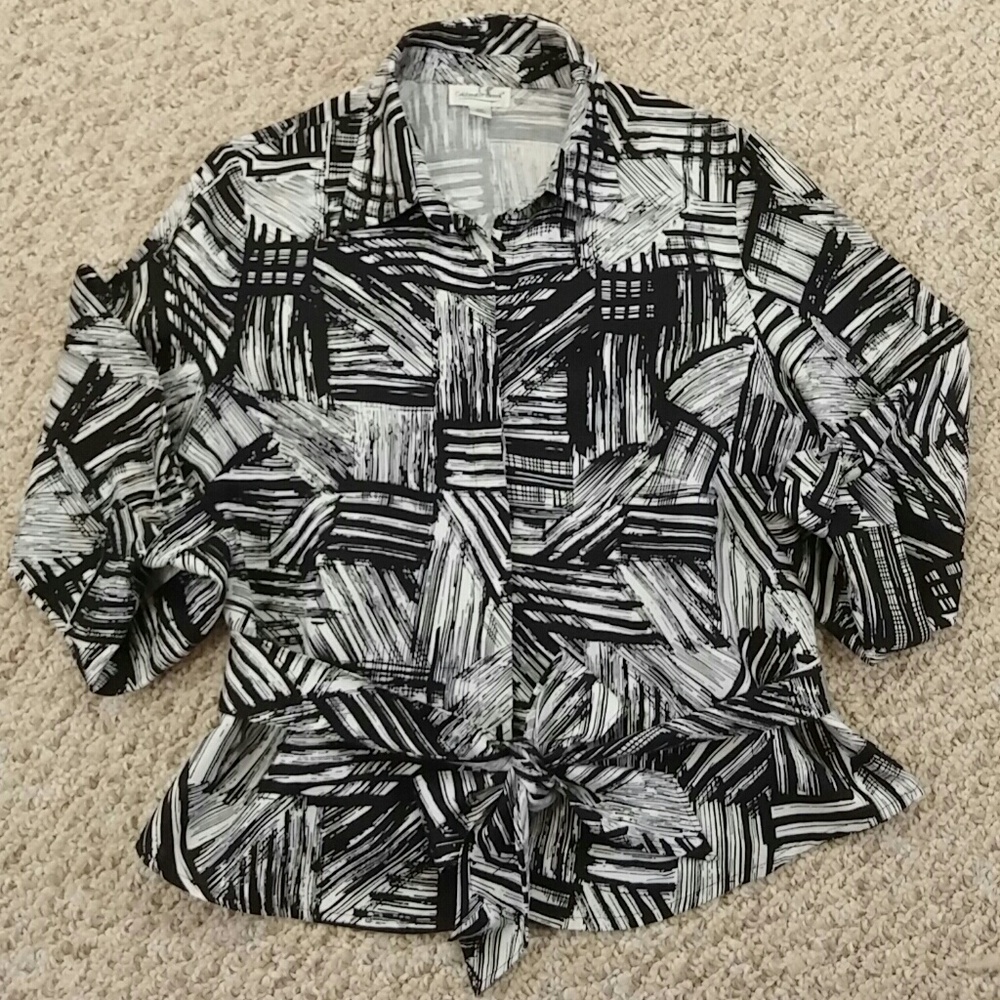 Coldwater Creek shirt, petite